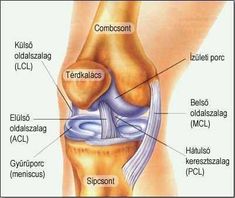 térdízület chondromalacia