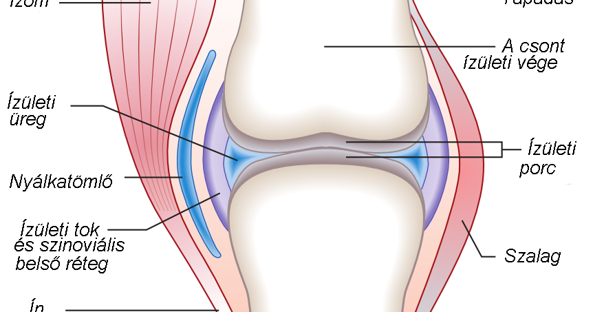 lehetővé teszi az ízületek kezelését