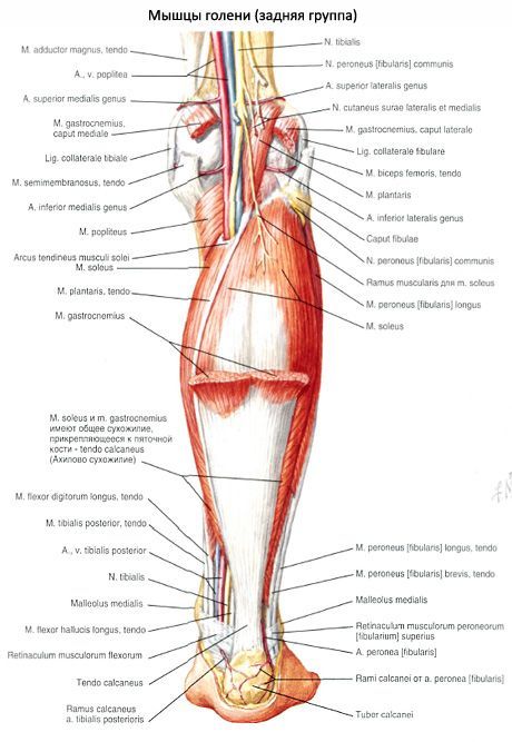 Ízületi gyulladás 3 oka, 4 tünete, 9 kezelési módja [teljes útmutató]