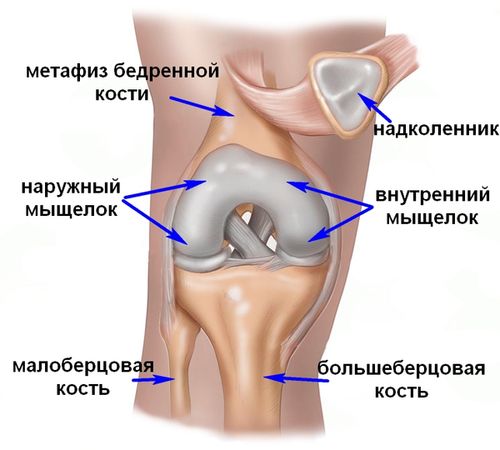arthrosis tünetek, hogyan kell kezelni ízületi ízületi térdkezelés