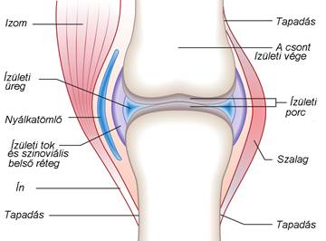 fájdalom a gyermekekben a csontokban és ízületekben)